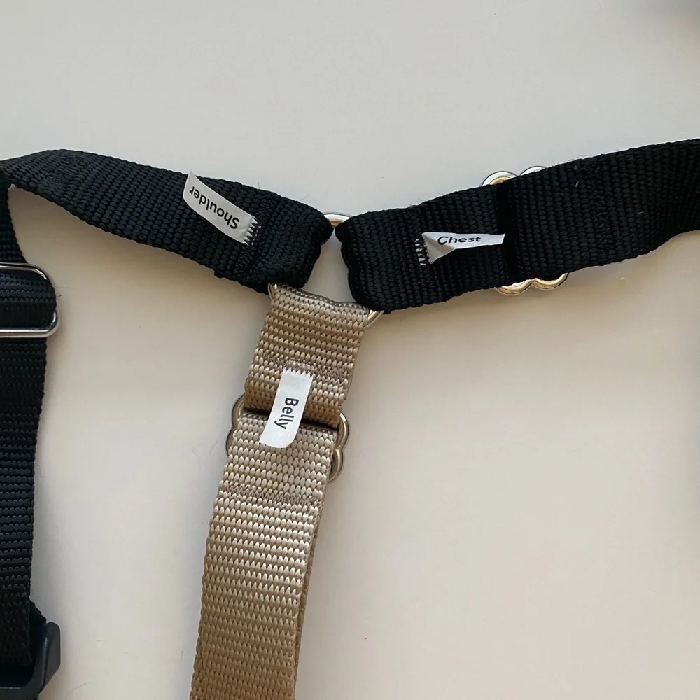PetSafe Easy Walk Dog Harness - No Pull Dog Harness - Size Large